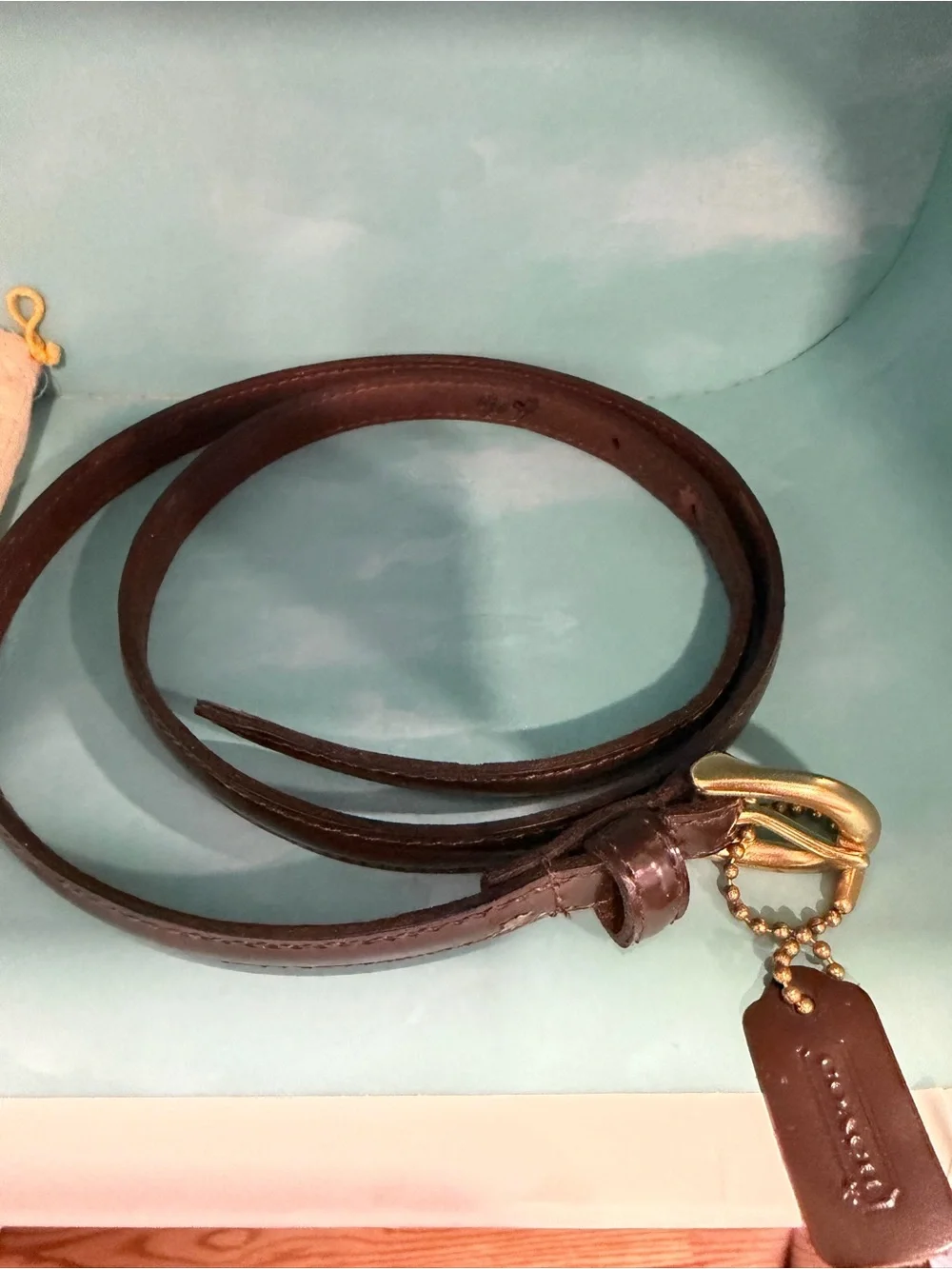 Coach Dark Brown Leather Skinny Belt with Gold buckle
